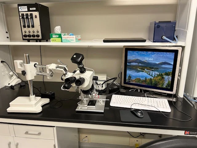 A laboratory workstation with microscopy and surgical equipment at MuriPhys