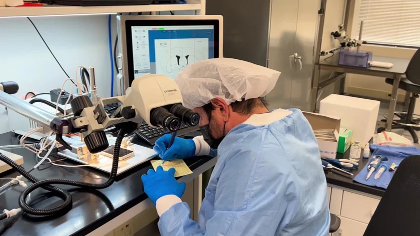 A MuriPhys scientist working at the stereotaxic research station